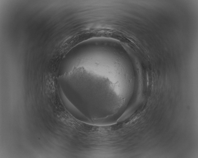 X0000054461013200507291342