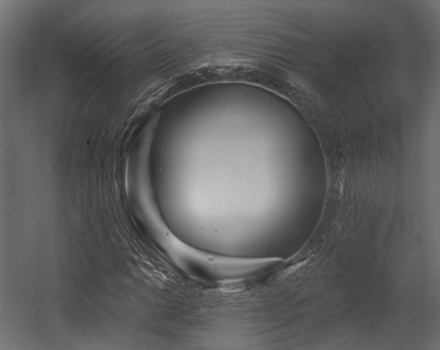 X0000054461014200507291342