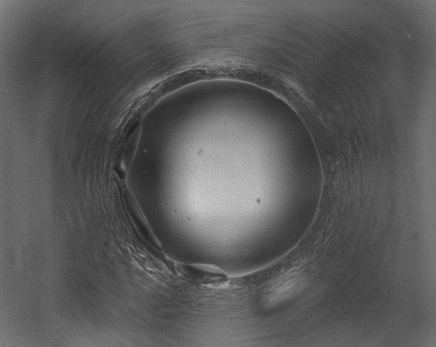 X0000054461016200507291342
