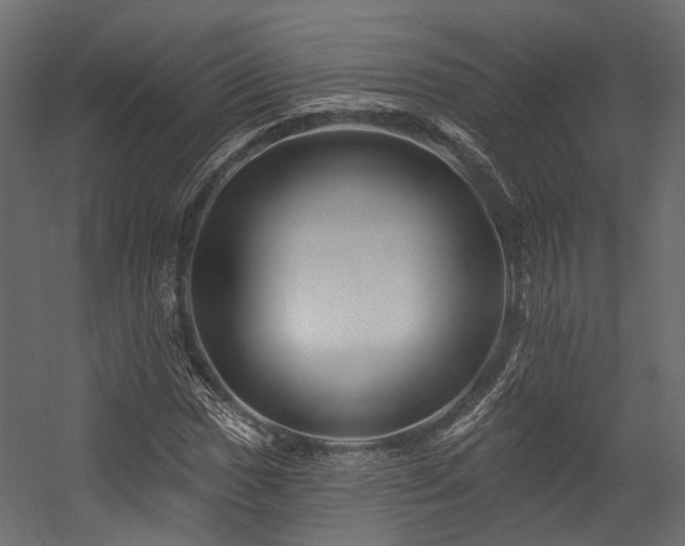 X0000054461017200507291342