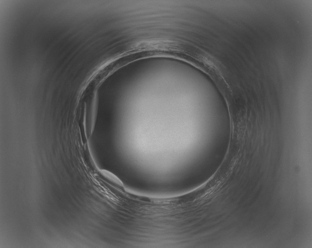 X0000054461019200507291342