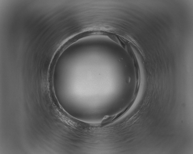 X0000054461020200507291342