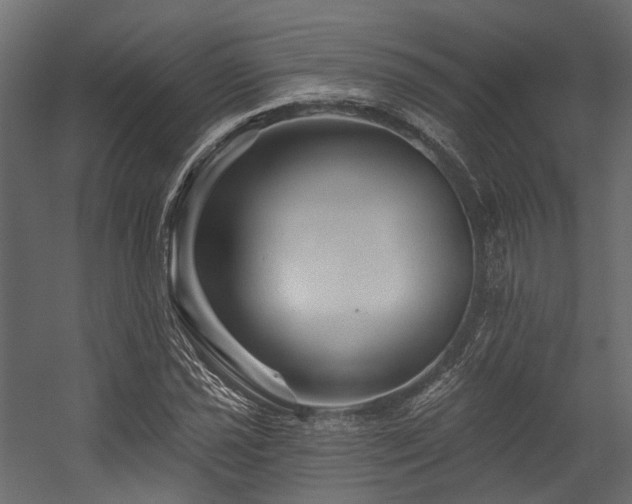 X0000054461021200507291342