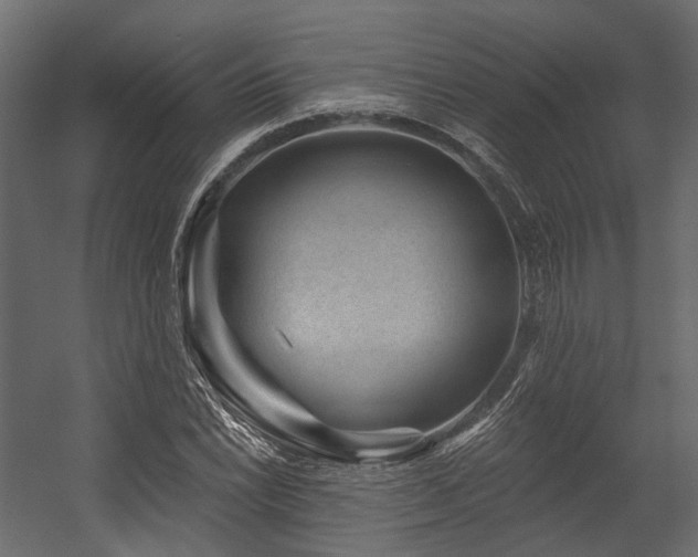 X0000054461022200507291342