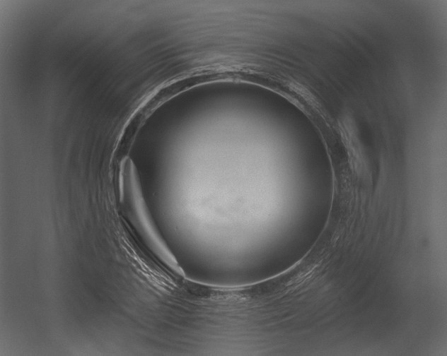 X0000054461023200507291343