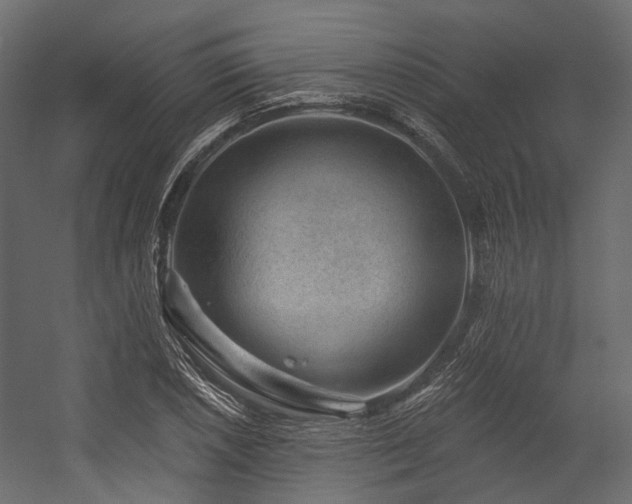X0000054461026200507291343