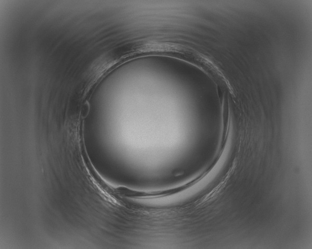 X0000054461033200507291343