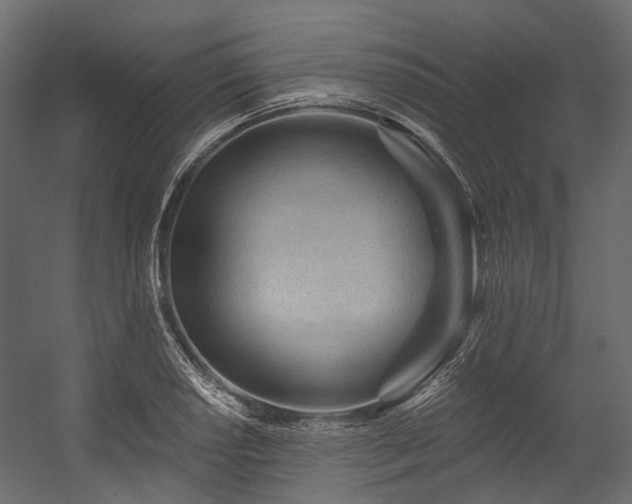 X0000054461034200507291343