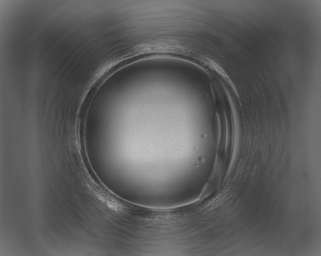 X0000054461035200507291343
