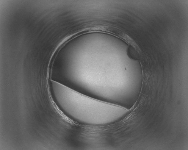 X0000054461036200507291343