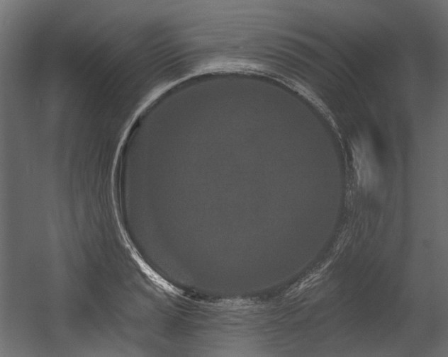 X0000054461037200507291343