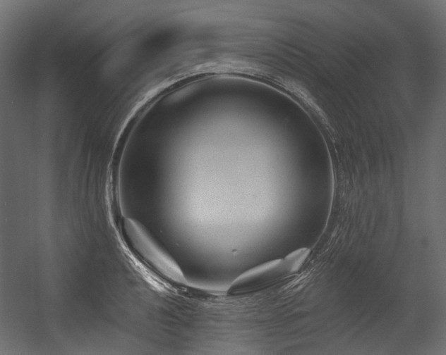 X0000054461040200507291343