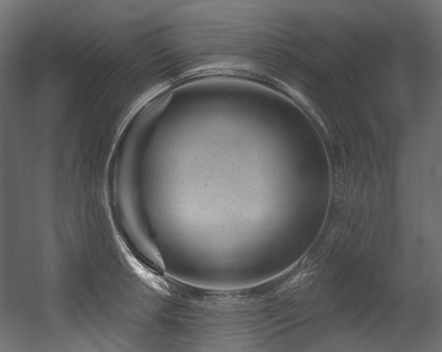 X0000054461042200507291343