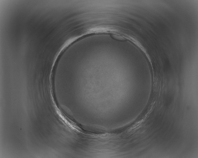X0000054461045200507291343