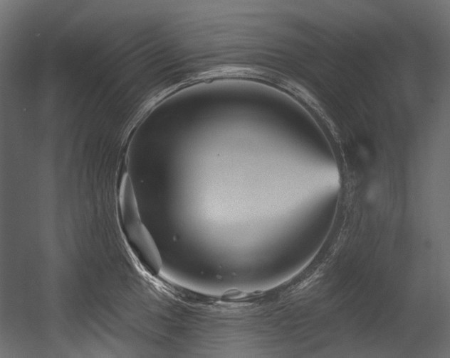 X0000054461049200507291343