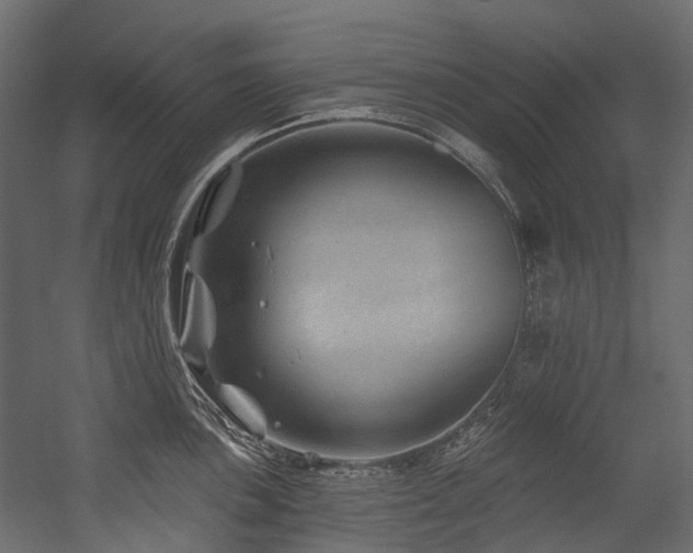 X0000054461051200507291343