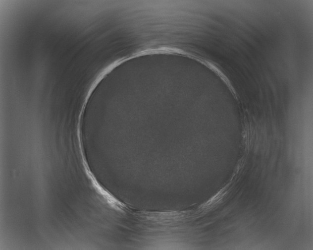 X0000054461054200507291343