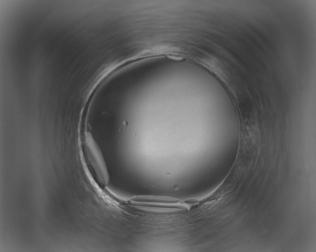 X0000054461055200507291343