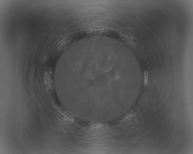 X0000054461059200507291342