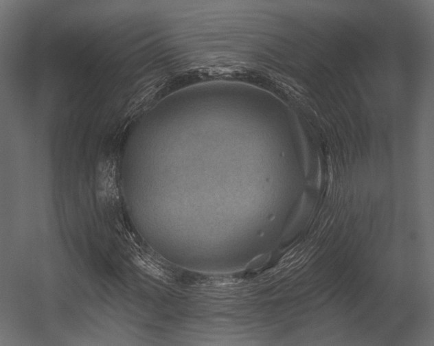X0000054461060200507291342