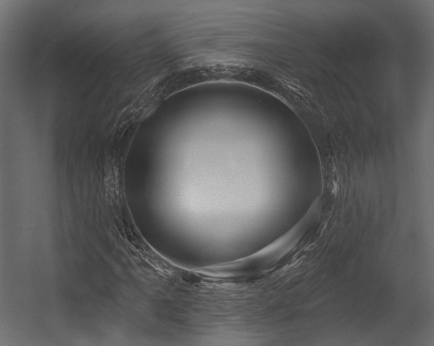 X0000054461061200507291342