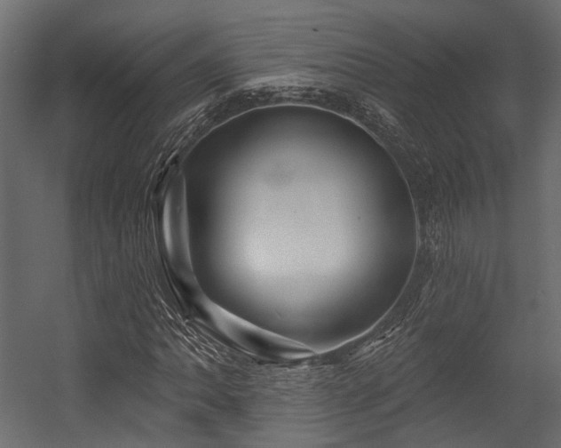 X0000054461062200507291342