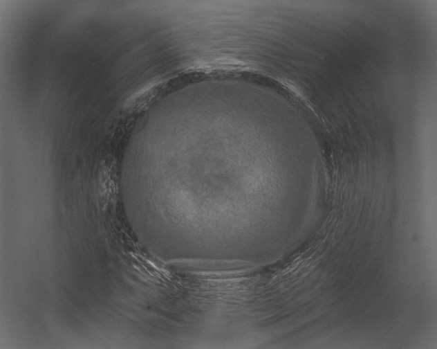 X0000054461063200507291342