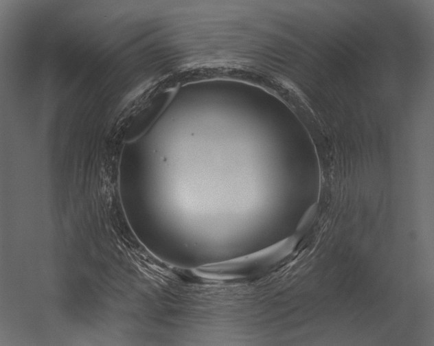 X0000054461064200507291342