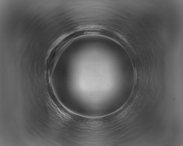 X0000054461066200507291342