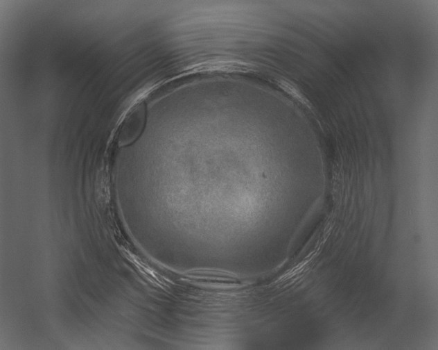 X0000054461067200507291342