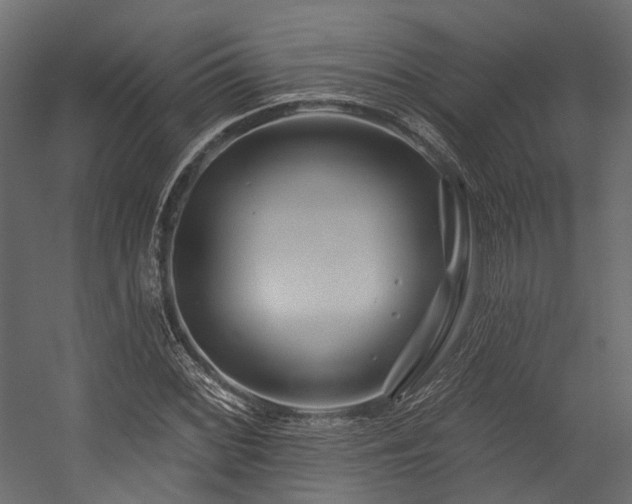 X0000054461068200507291342