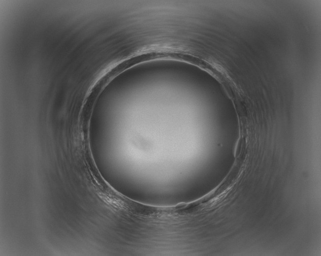X0000054461070200507291342