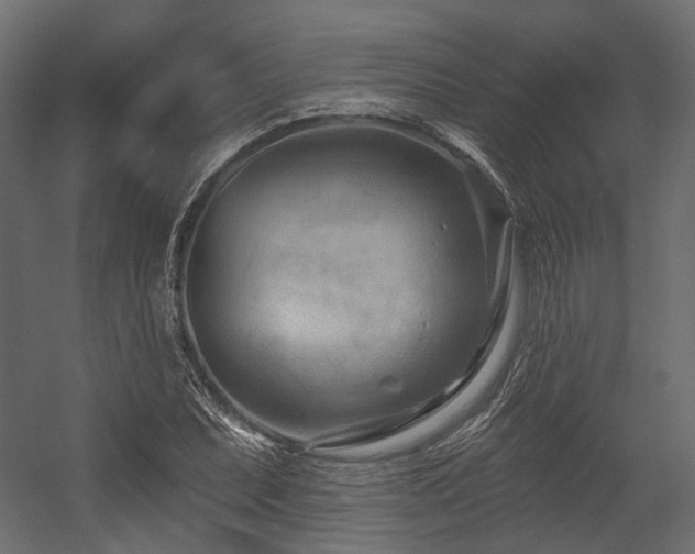 X0000054461071200507291342