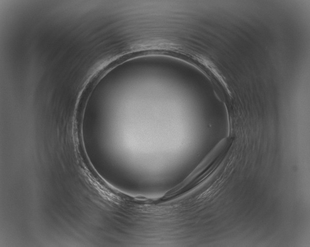 X0000054461072200507291342