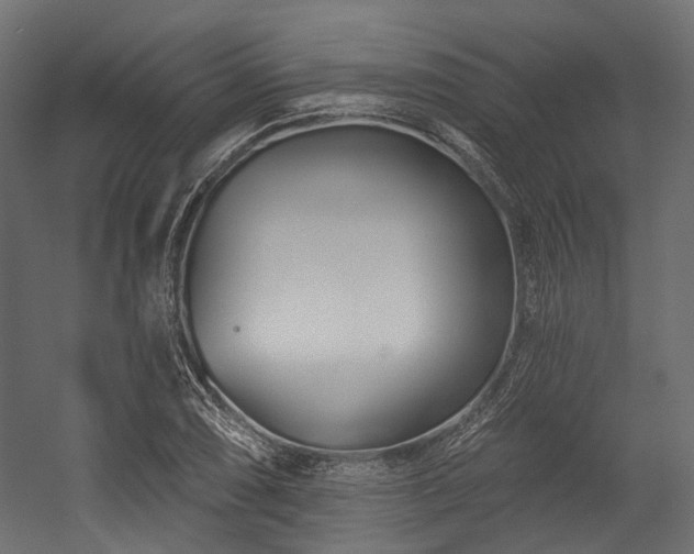 X0000054461074200507291342