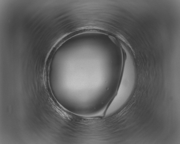 X0000054461076200507291342