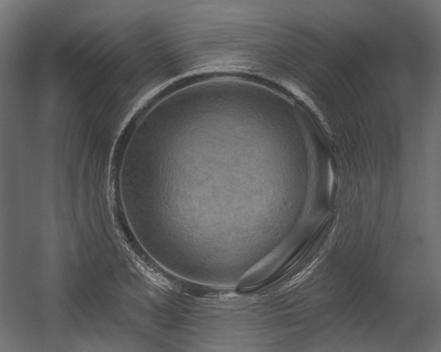X0000054461077200507291342