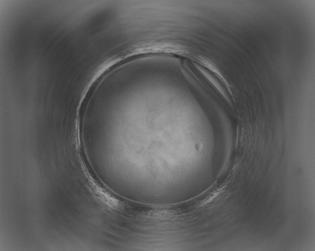 X0000054461079200507291342