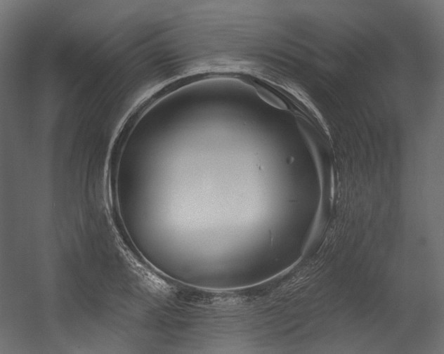 X0000054461080200507291342