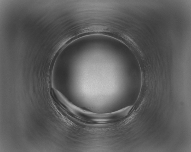 X0000054461081200507291342
