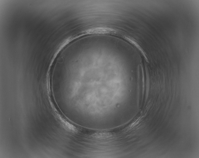 X0000054461083200507291342