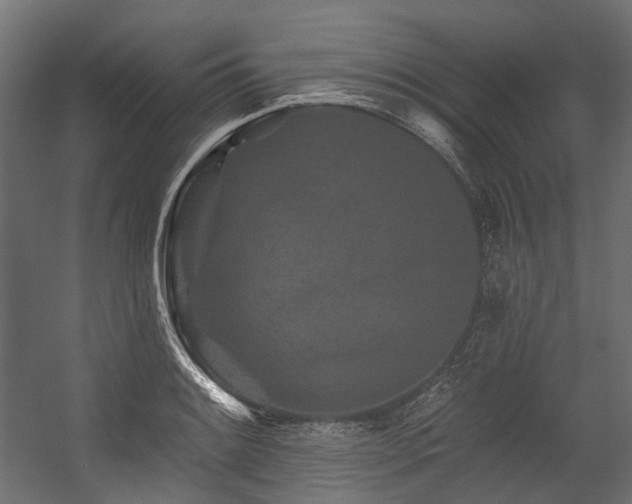 X0000054461084200507291342