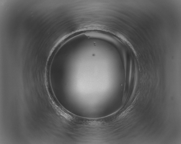 X0000054461085200507291342