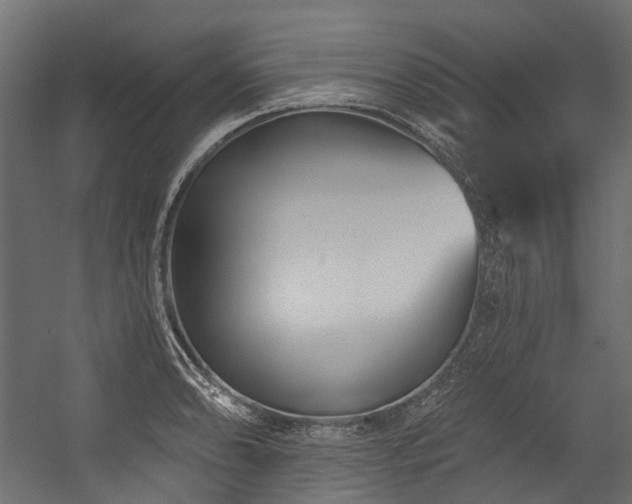 X0000054461086200507291342