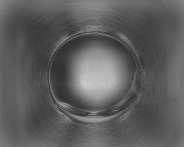 X0000054461089200507291342