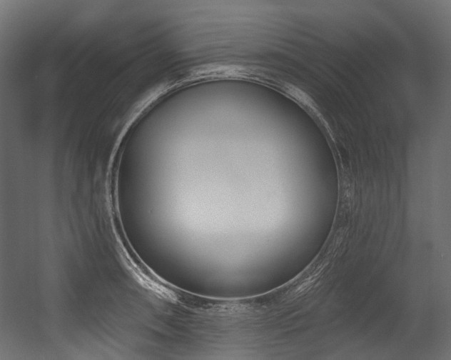 X0000054461090200507291342