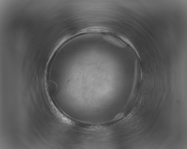 X0000054461091200507291342