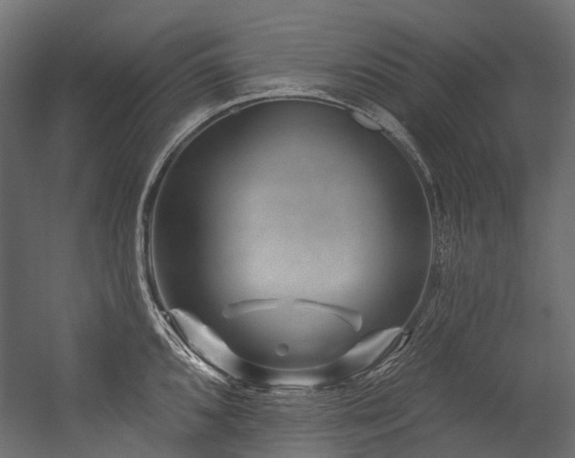 X0000054461096200507291342