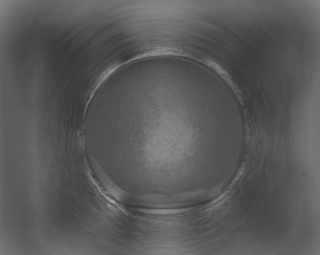 X0000054461097200507291342