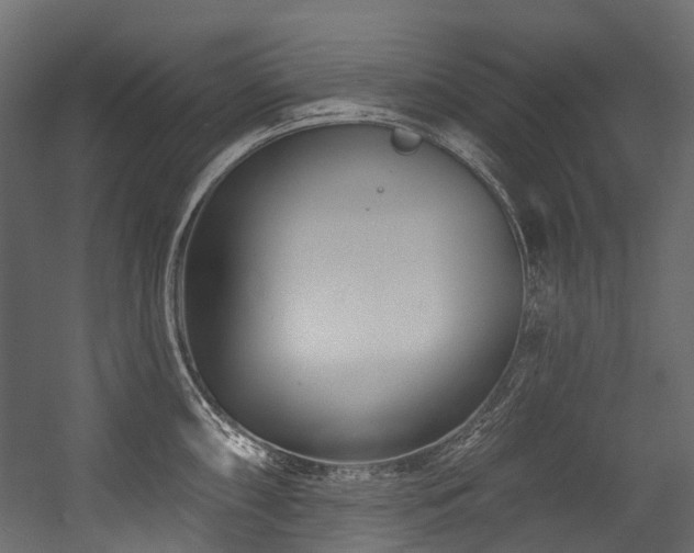 X0000054461098200507291342